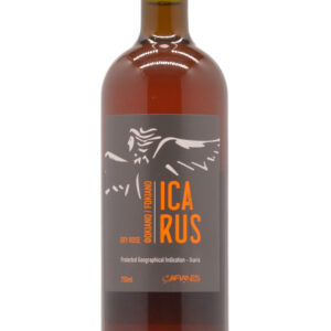 Icarus 2019