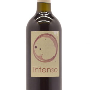 Intenso 2015