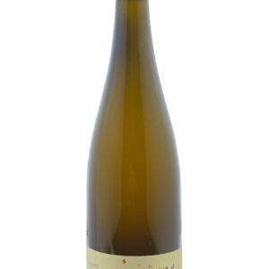 Muscat Petite Fleur 2021